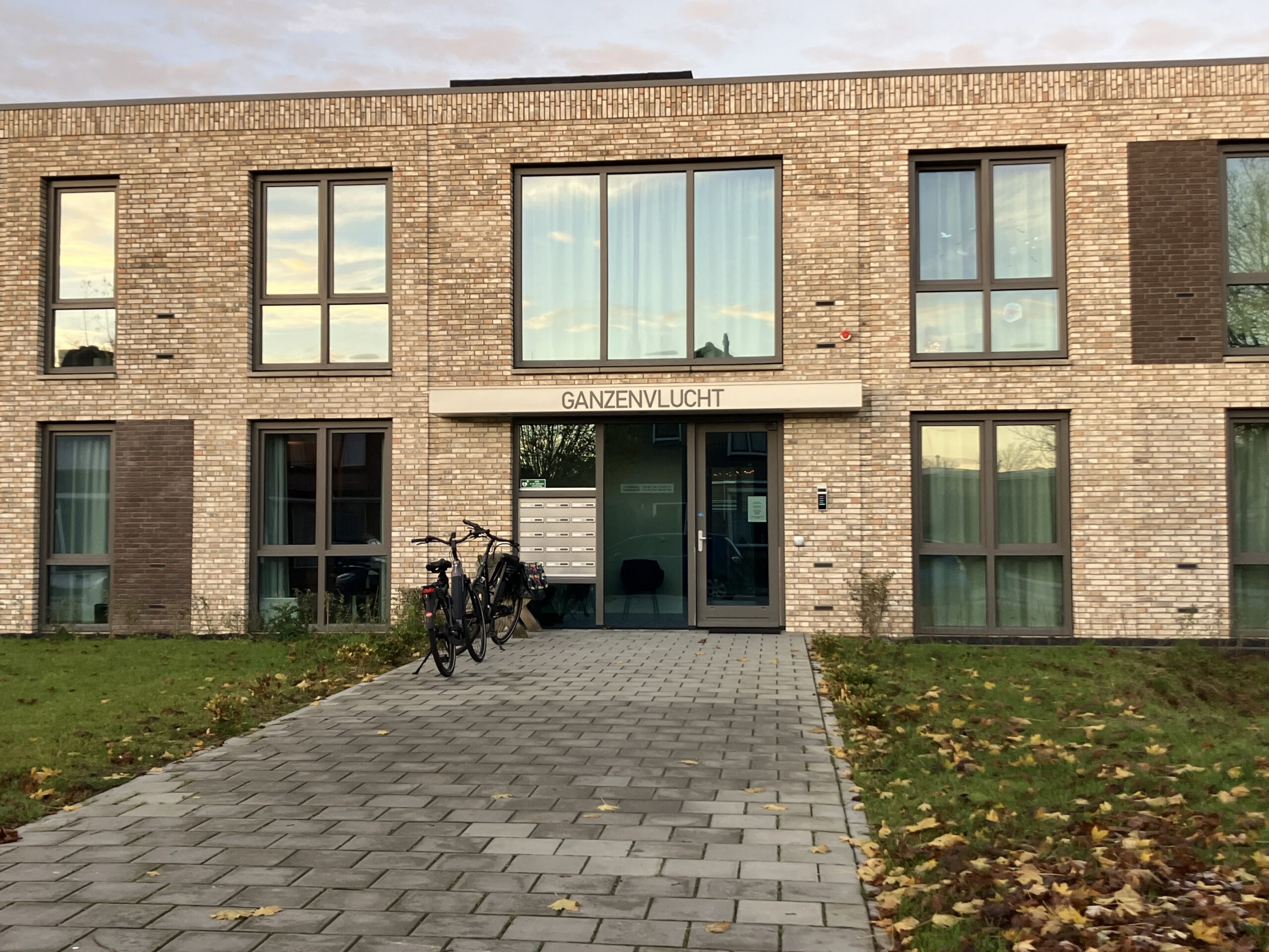 Afbeeldingbanner voor Ganzenvlucht – Gendt