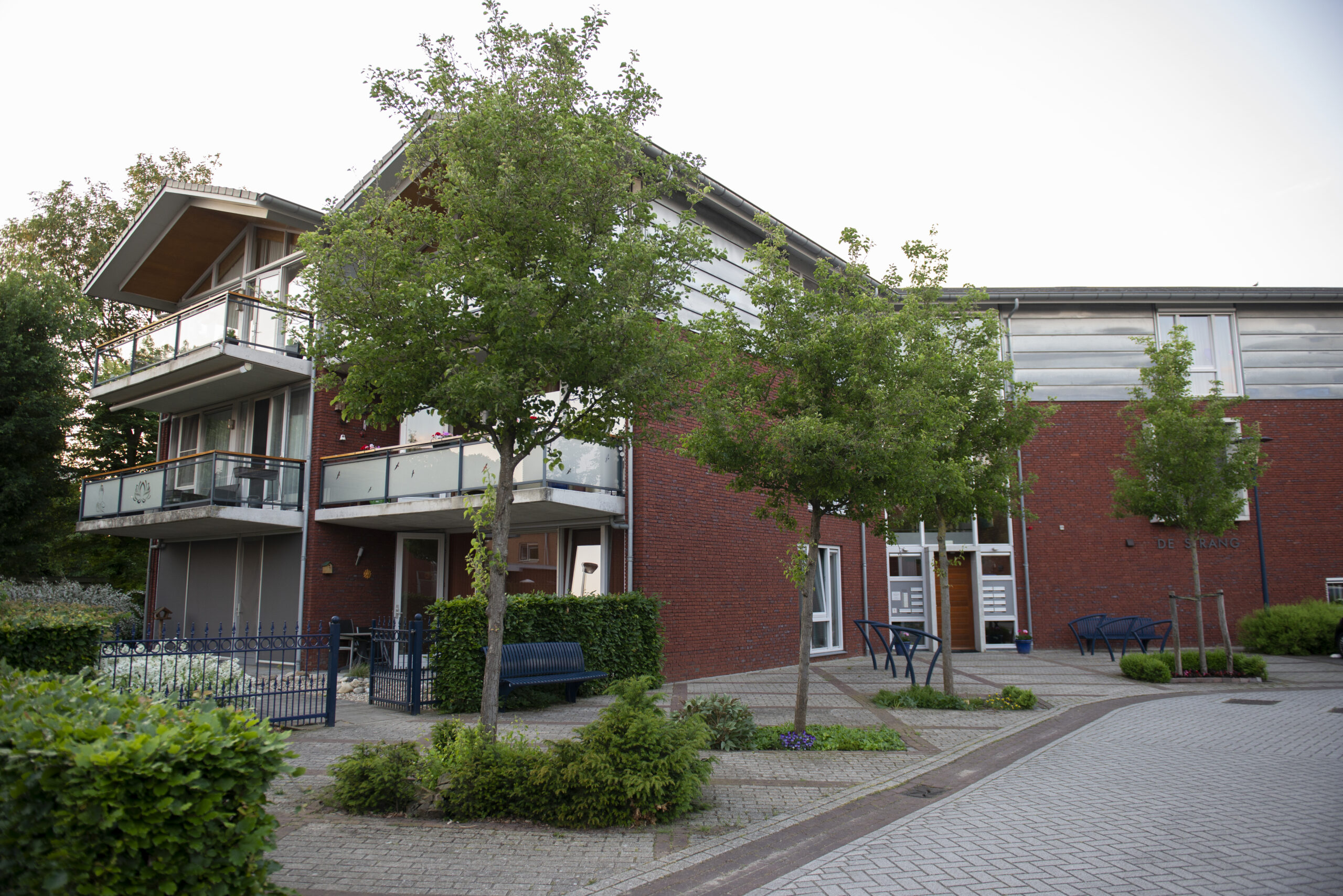 Afbeeldingbanner voor De Strang – Gendt