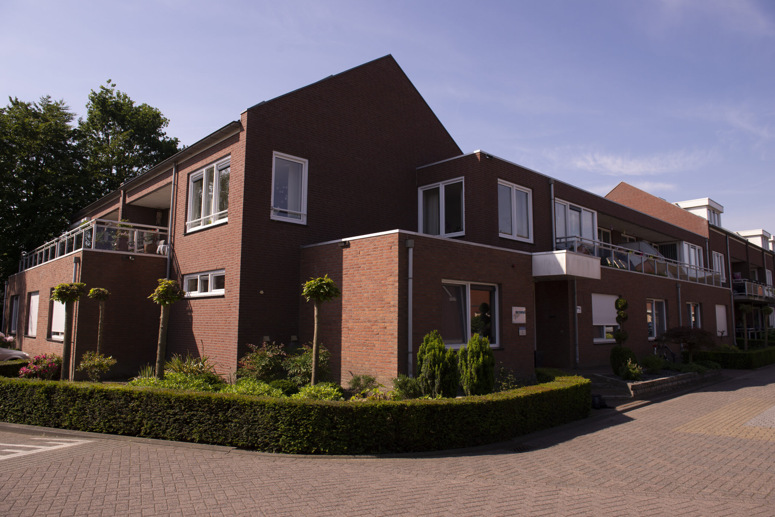 Afbeeldingbanner voor Octopus – Sevenum