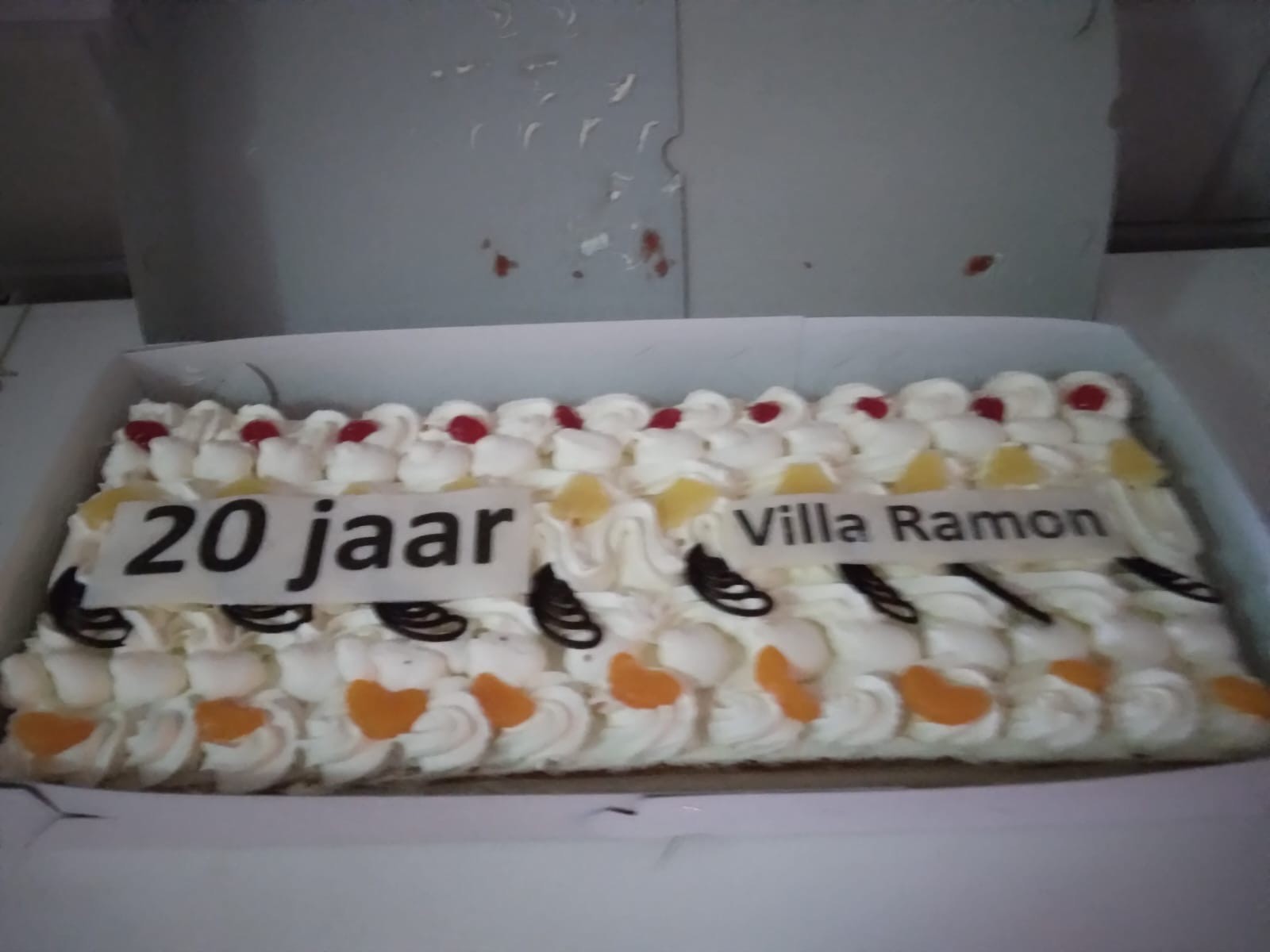 Afbeelding voor nieuwsbericht met titel: 20 Jaar Villa Ramon