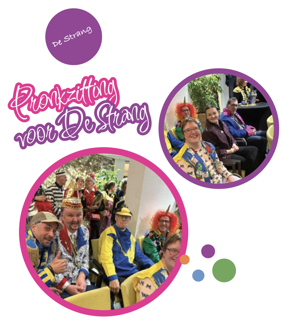 Afbeelding voor nieuwsbericht met titel: Pronkzitting voor De Strang