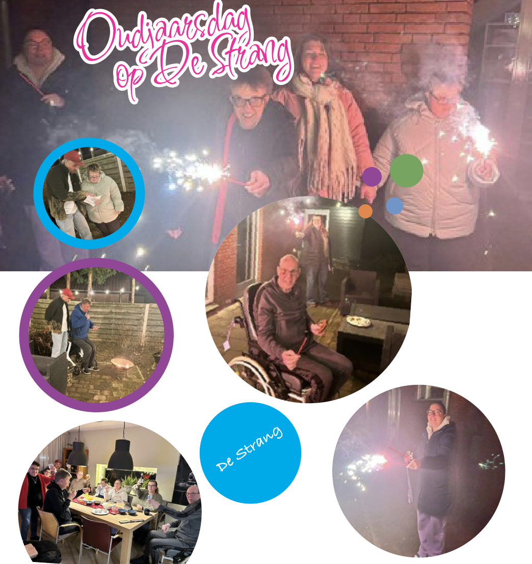 Afbeelding voor nieuwsbericht met titel: Oudjaarsdag op De Strang