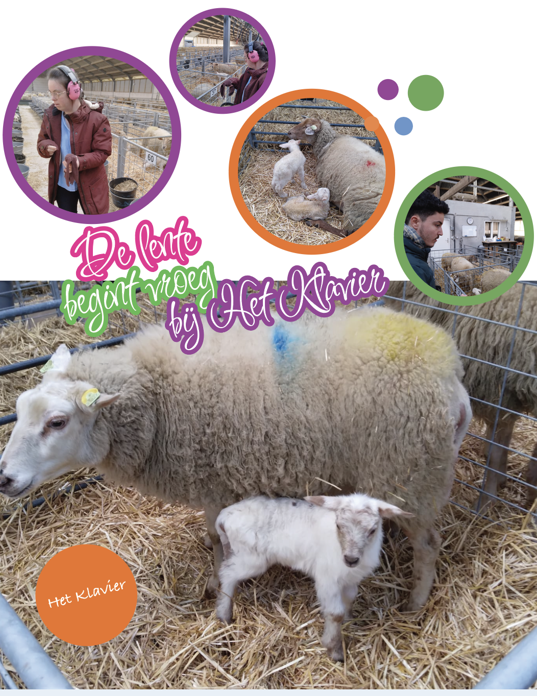 Afbeelding voor nieuwsbericht met titel: De lente begint vroeg bij Het Klavier