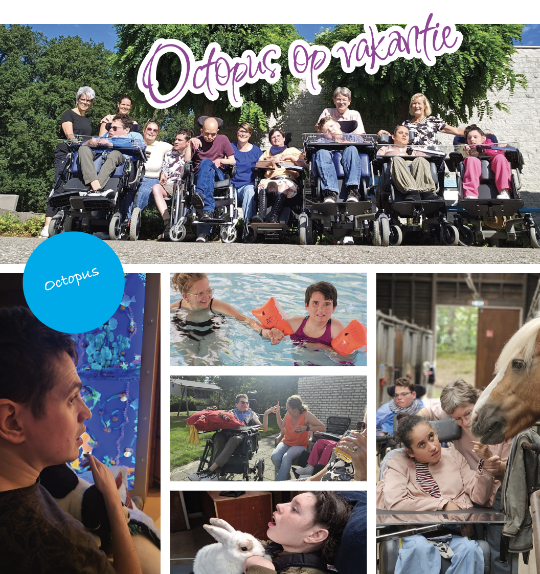 Afbeelding voor nieuwsbericht met titel: Octopus op vakantie