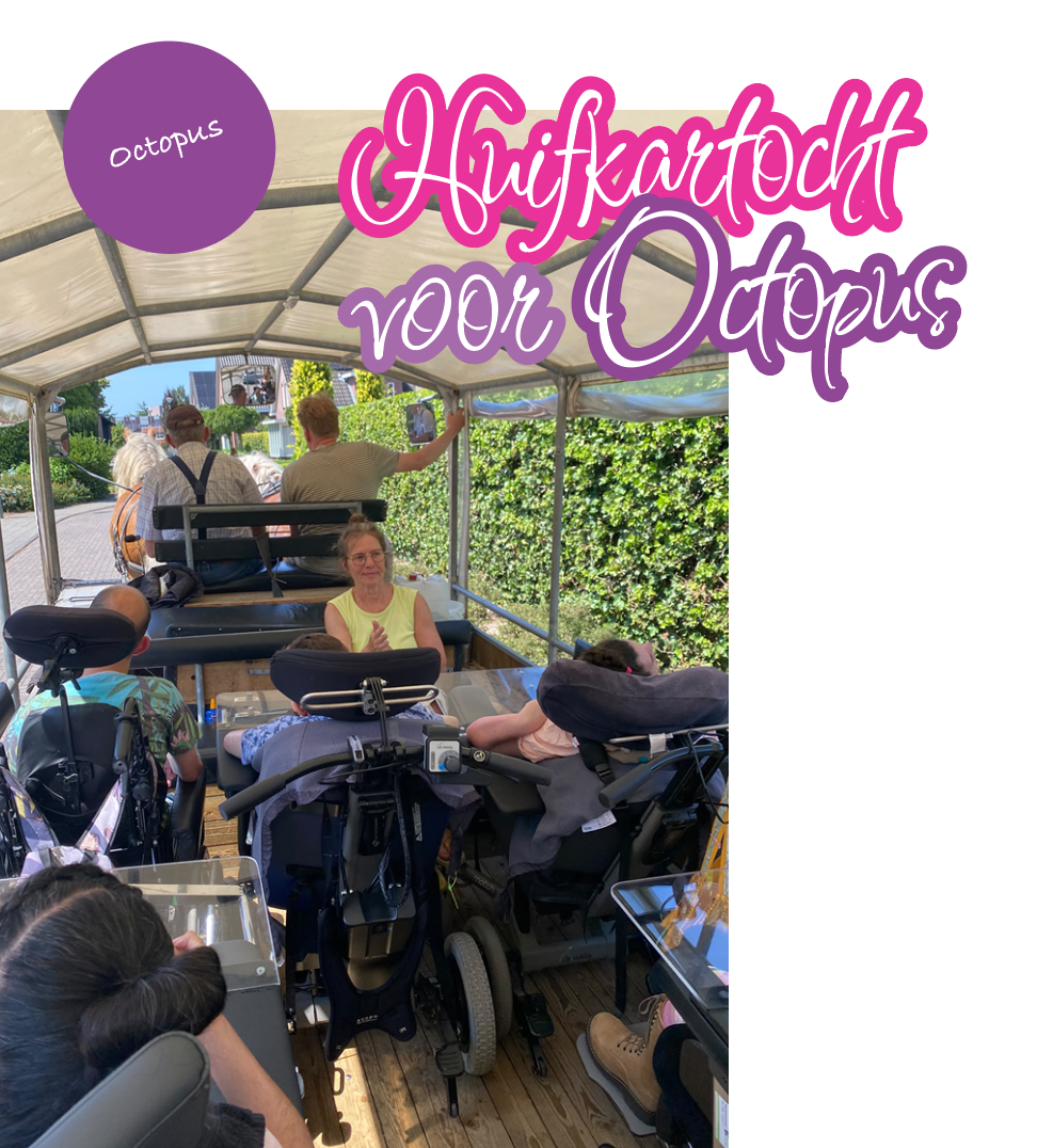 Afbeelding voor nieuwsbericht met titel: Huifkartocht voor Octopus